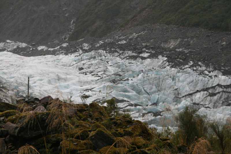 Nieuw-Zeeland 2011 - 1422